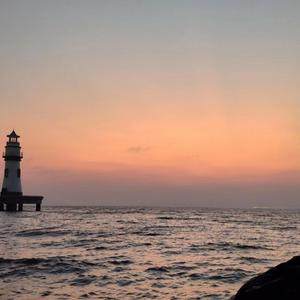 狗操黑人逼射了菊花
