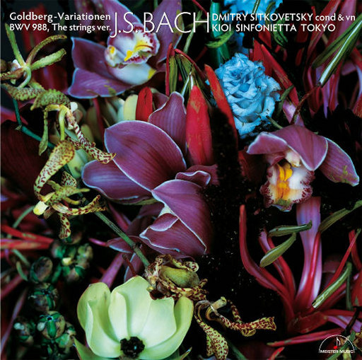 狗操黑人逼射了菊花
